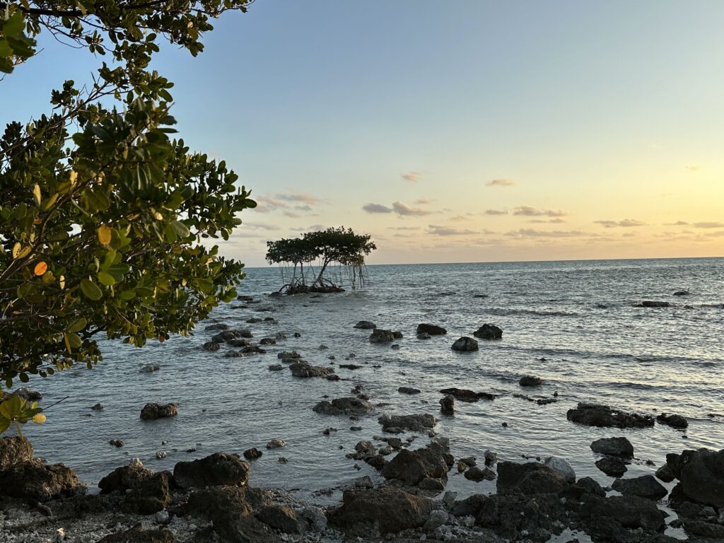 sunset over rocks