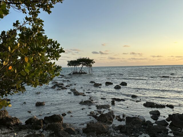 Best destinations in the florida keys
